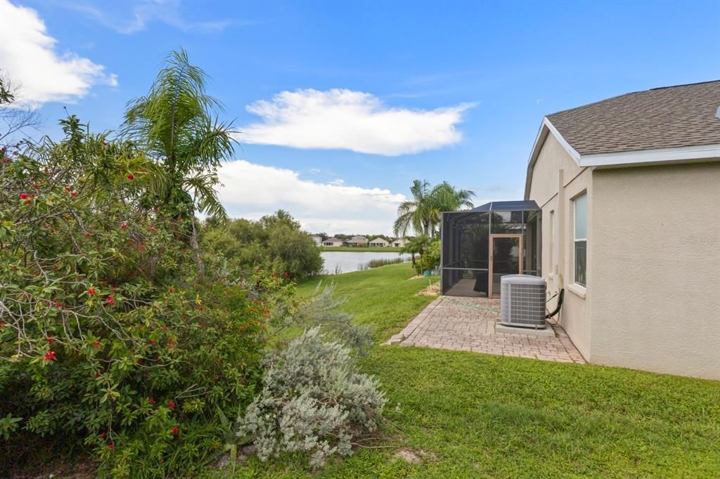 Backyard, Exterior, Water