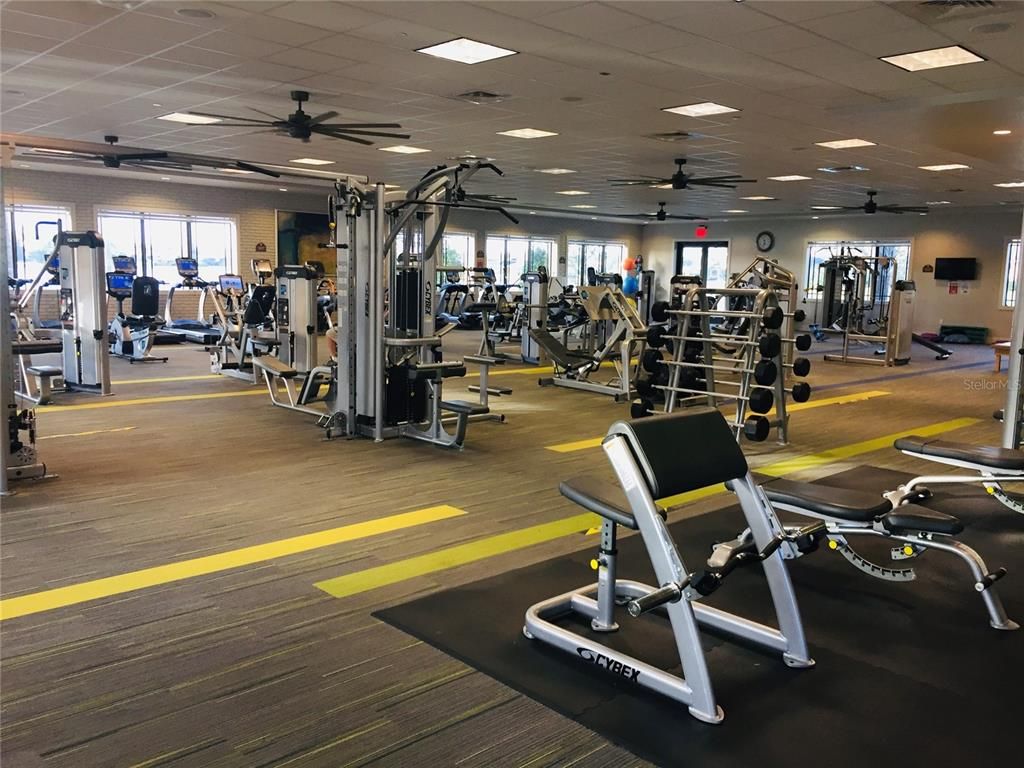 Fitness Equipment, Gym, Interior, Recessed Lighting, Wood Texture Flooring