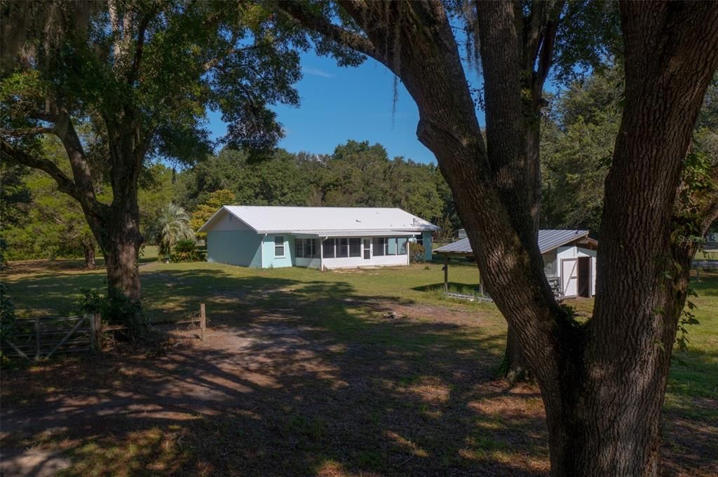 Backyard, Exterior
