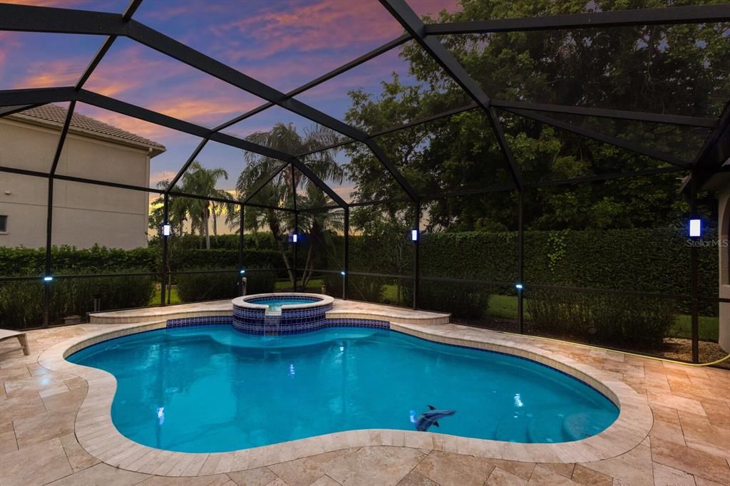 Glass Ceilings, Interior, Pool, Sun Room