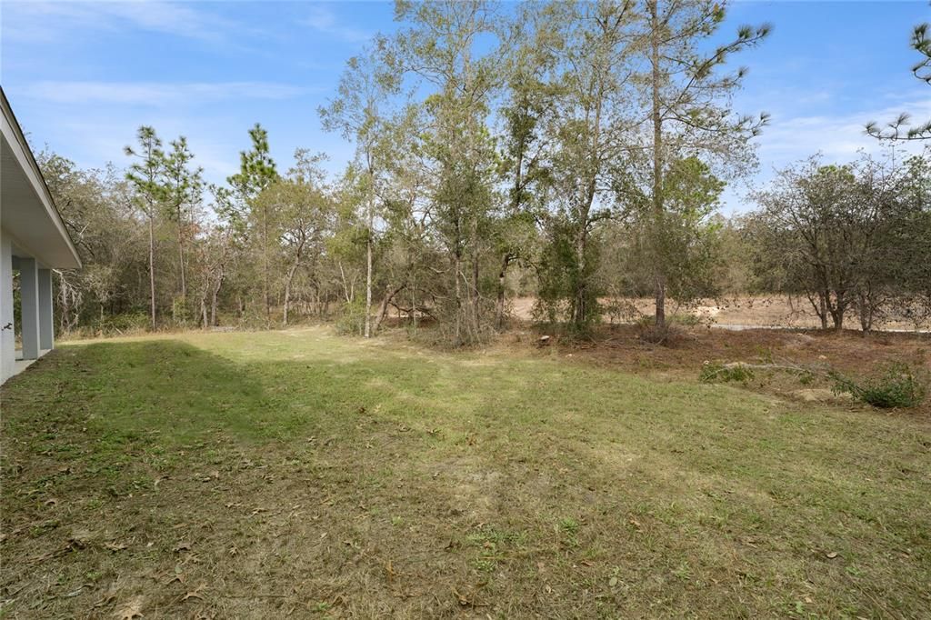 Backyard, Exterior
