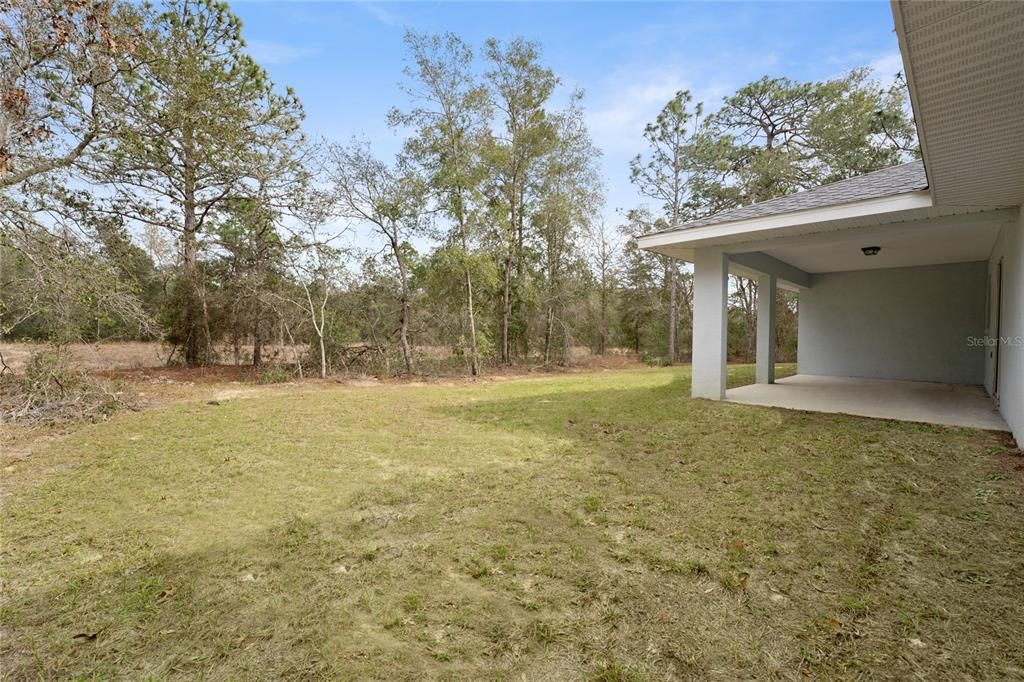 Backyard, Exterior