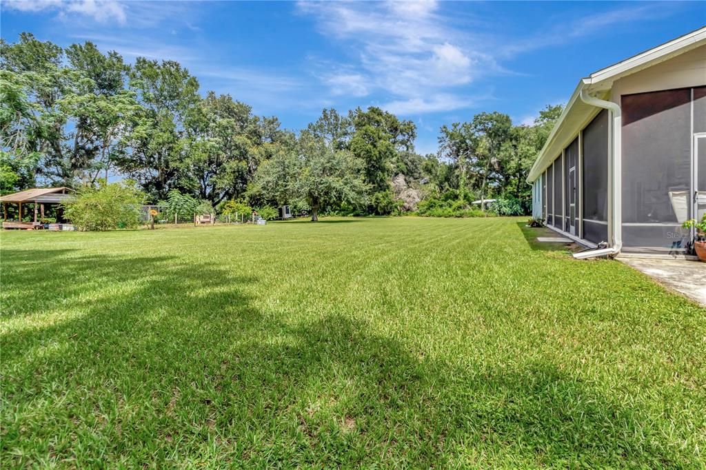 Backyard, Exterior