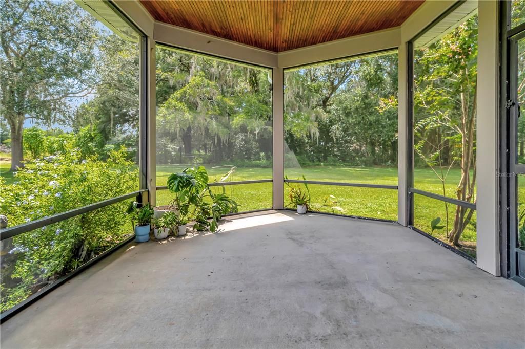 Interior, Sun Room, Wooden Ceilings