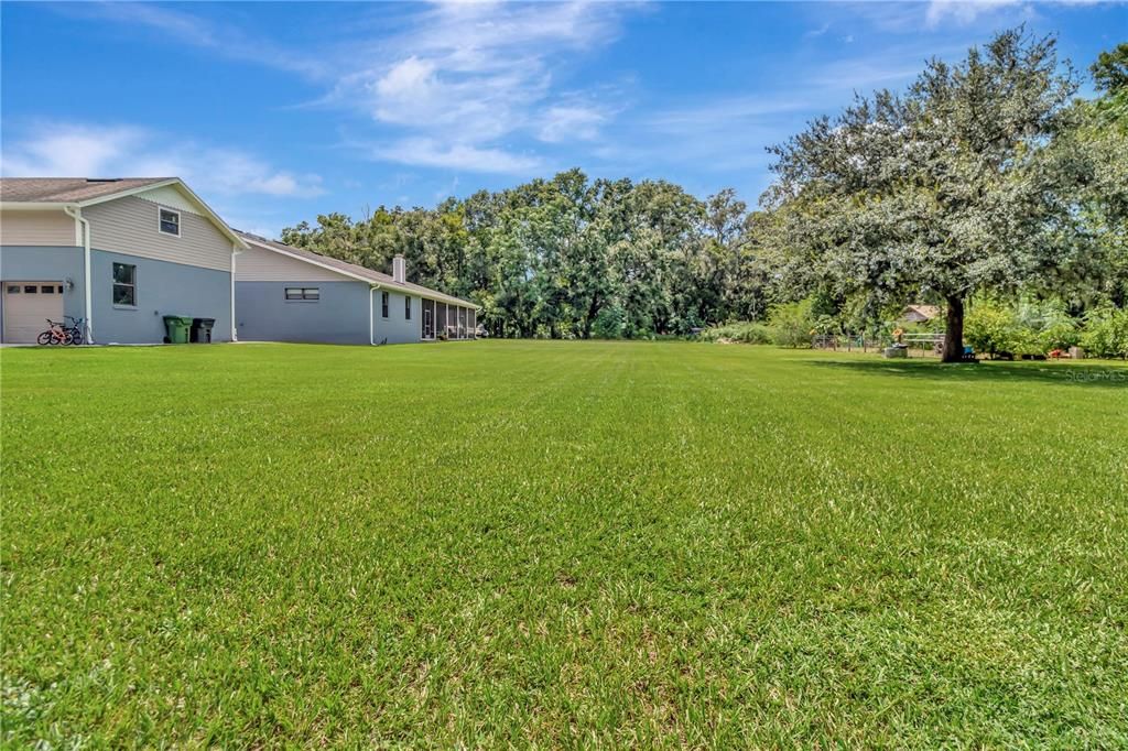 Backyard, Exterior
