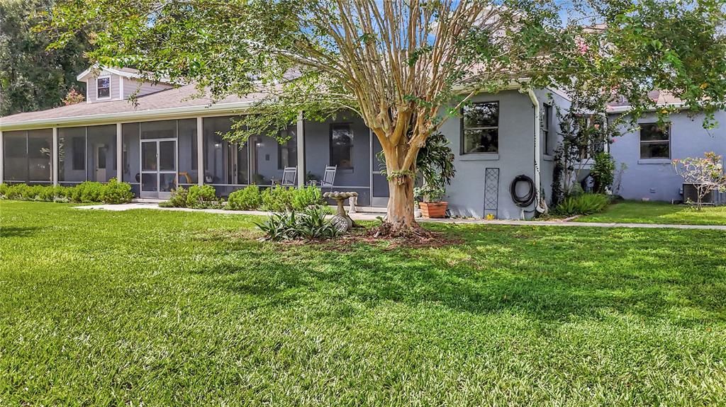 Backyard, Exterior