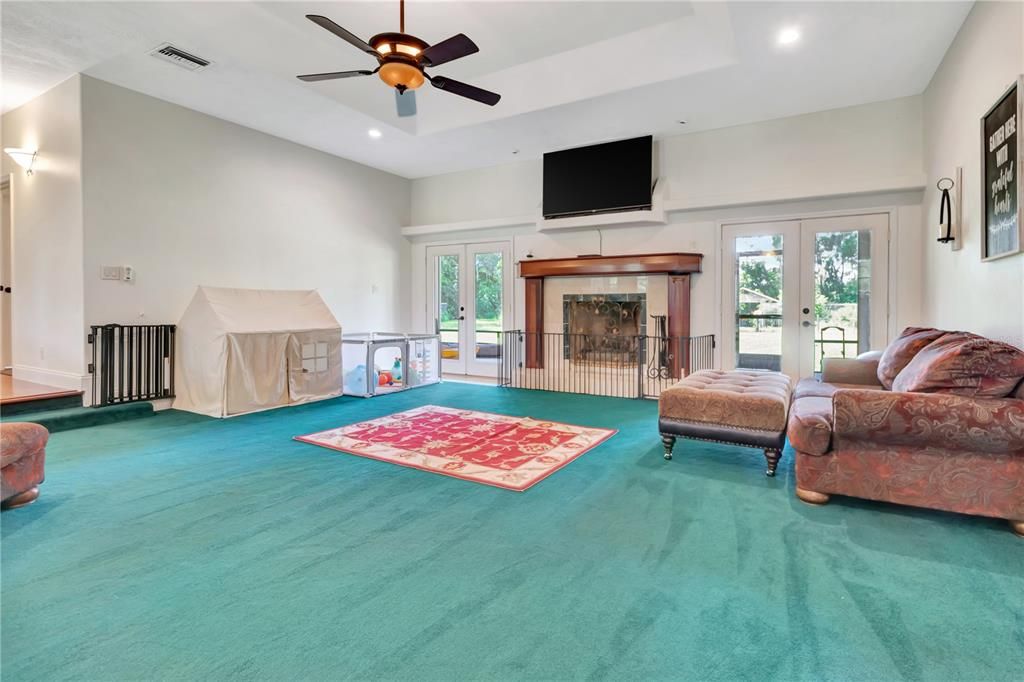 Bedroom, Fireplace, Interior, Recessed Lighting