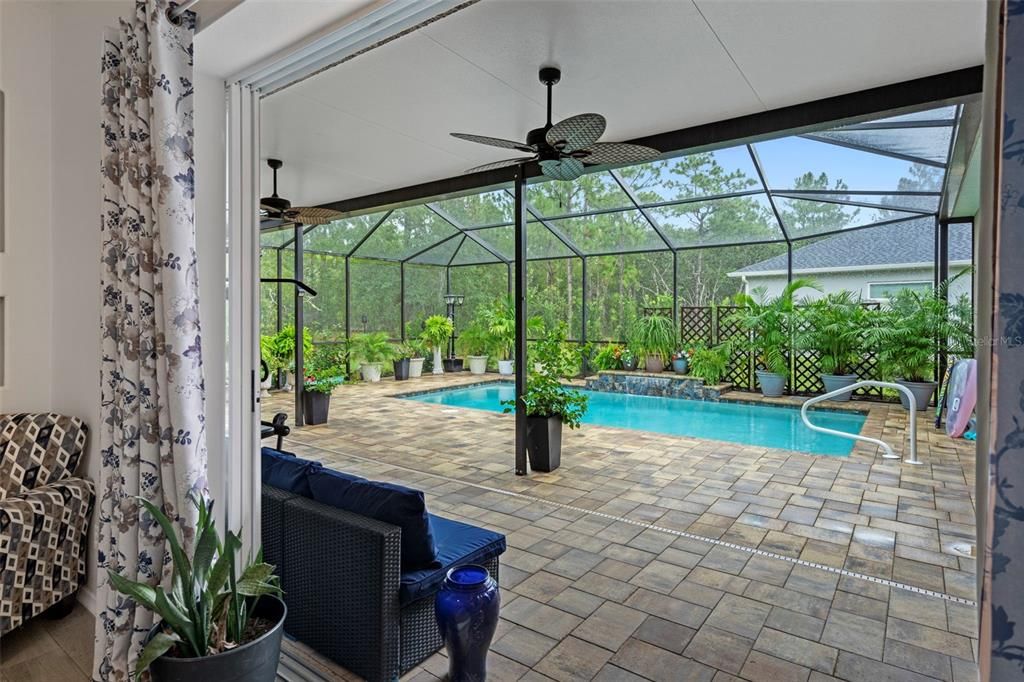 Glass Ceilings, Interior, Pool, Sun Room