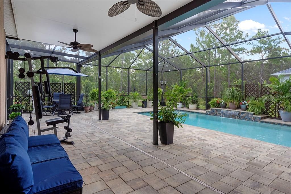 Glass Ceilings, Interior, Pool, Sun Room