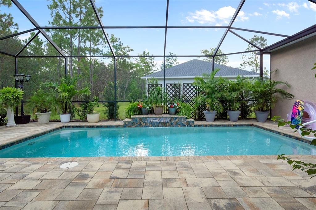 Glass Ceilings, Interior, Pool, Sun Room