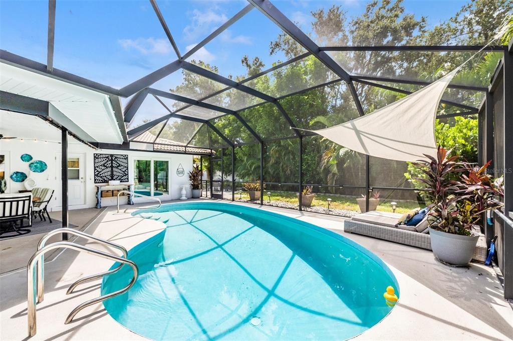 Glass Ceilings, Interior, Pool, Sun Room