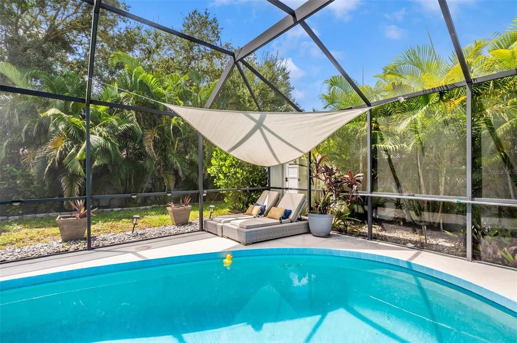 Glass Ceilings, Interior, Pool, Sun Room