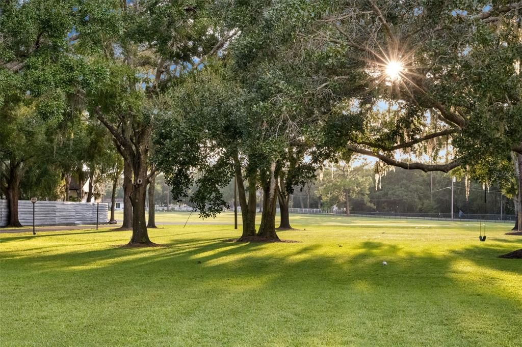 Backyard, Exterior
