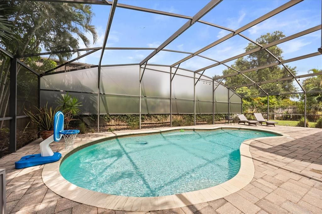 Glass Ceilings, Interior, Pool, Sun Room
