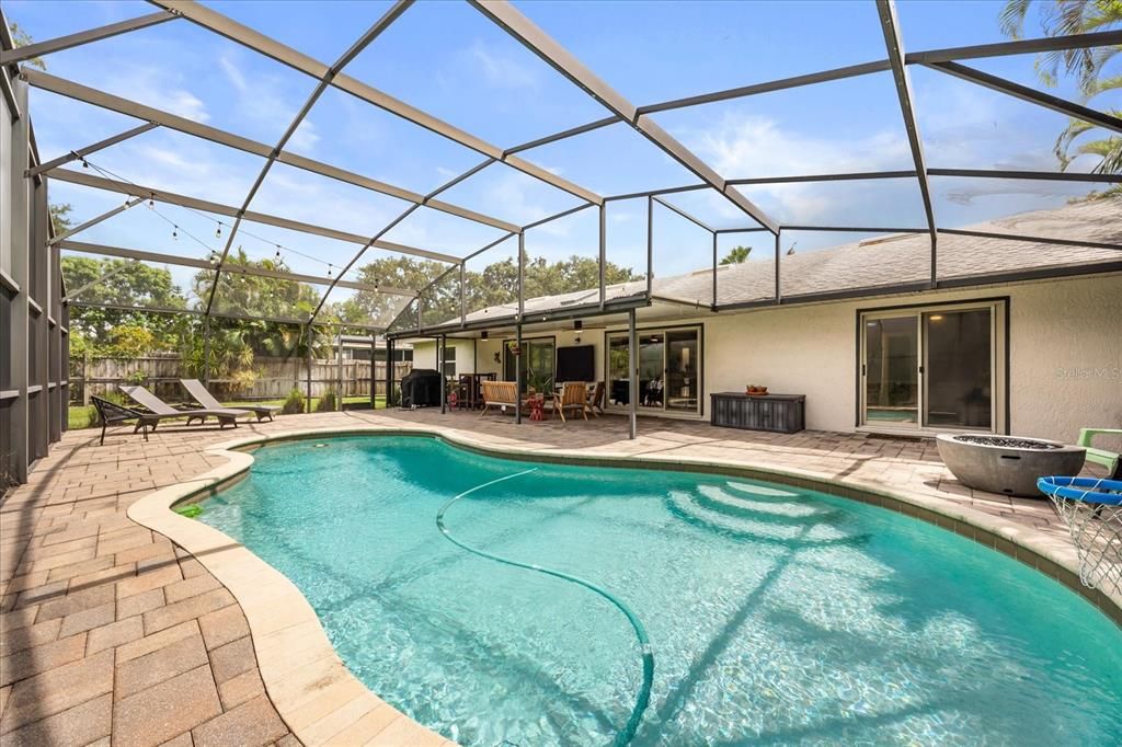 Glass Ceilings, Interior, Pool, Sun Room