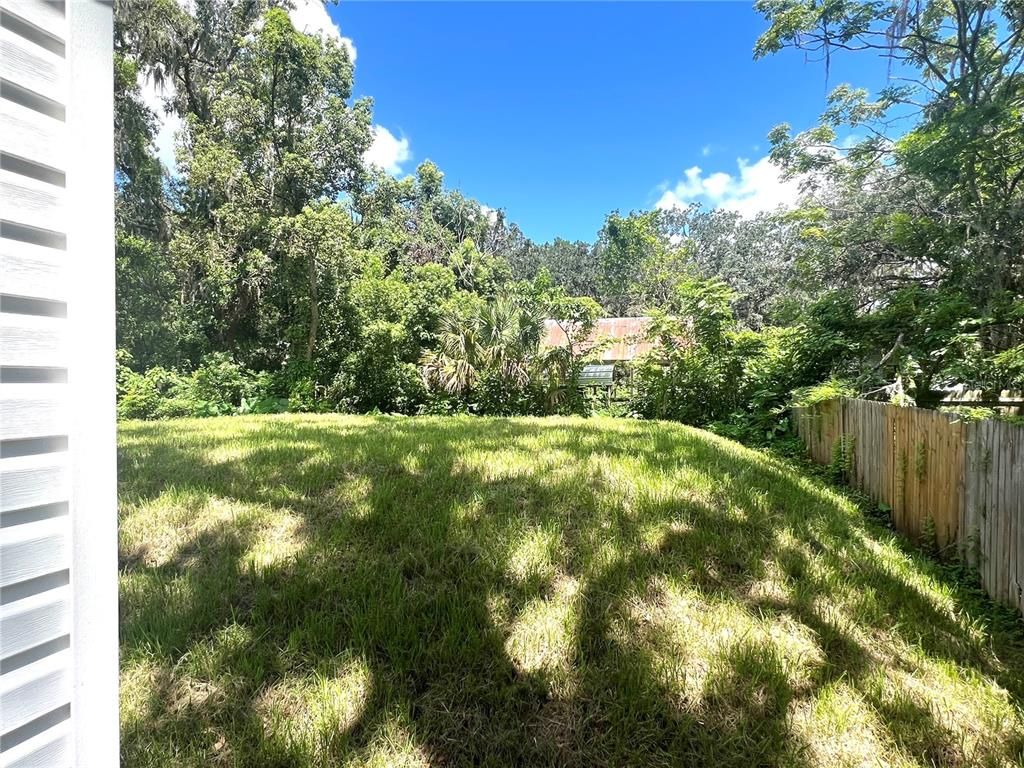 Backyard, Exterior