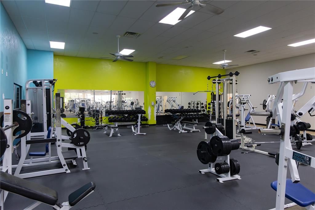Fitness Equipment, Gym, Interior, Recessed Lighting