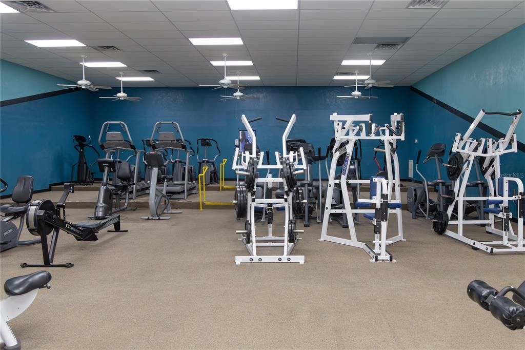 Fitness Equipment, Gym, Interior, Recessed Lighting