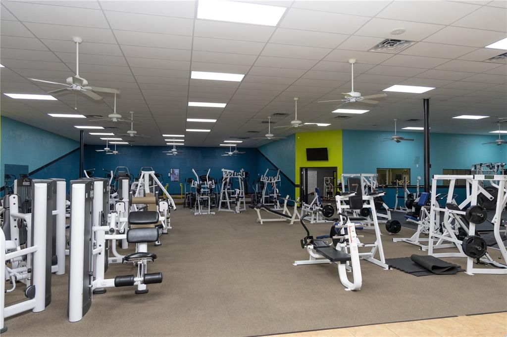 Fitness Equipment, Gym, Interior, Recessed Lighting