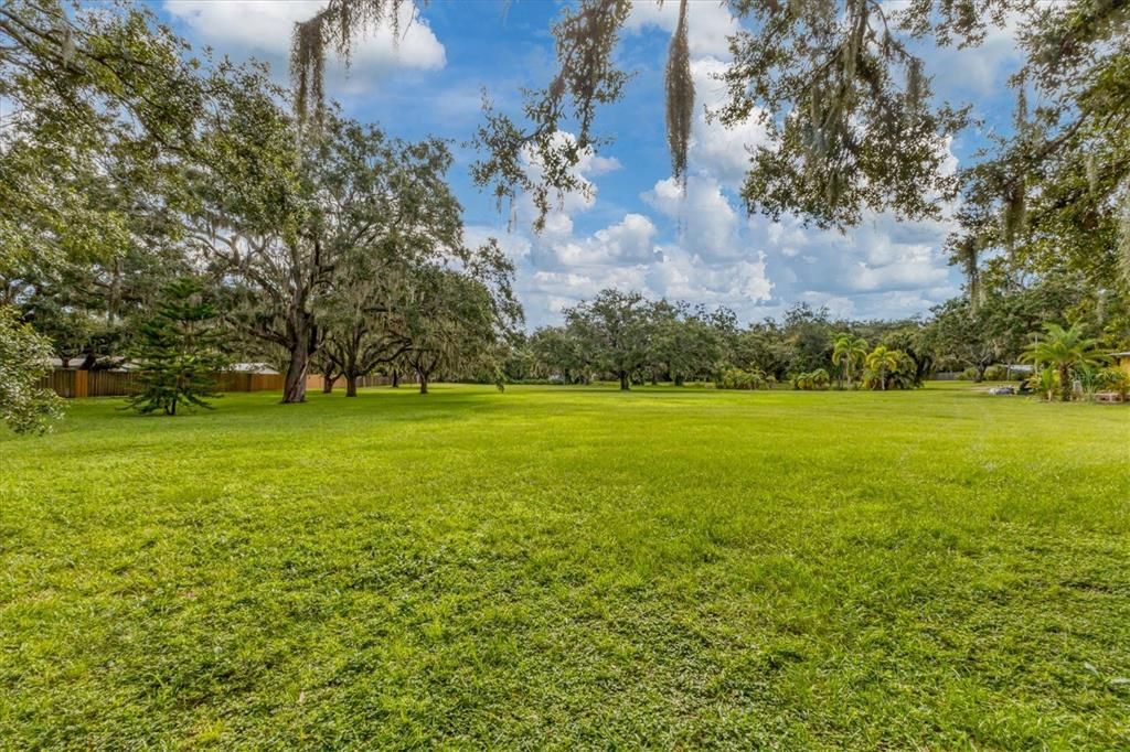 Backyard, Exterior