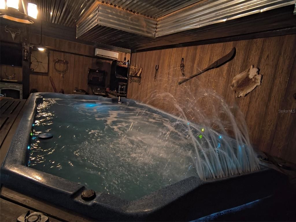 Hot Tub, Interior, Wooden Walls