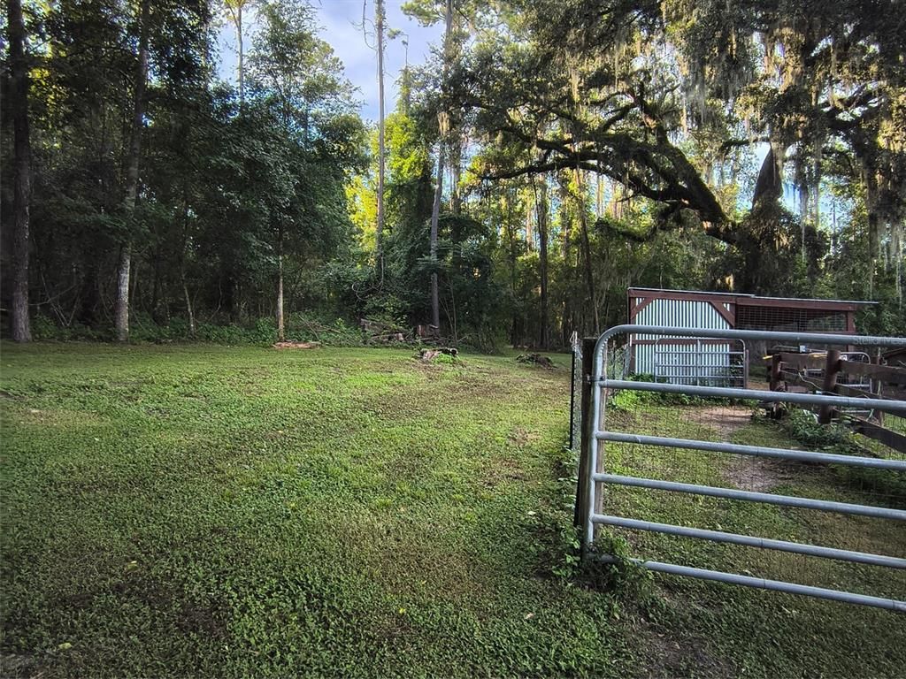 Backyard, Exterior