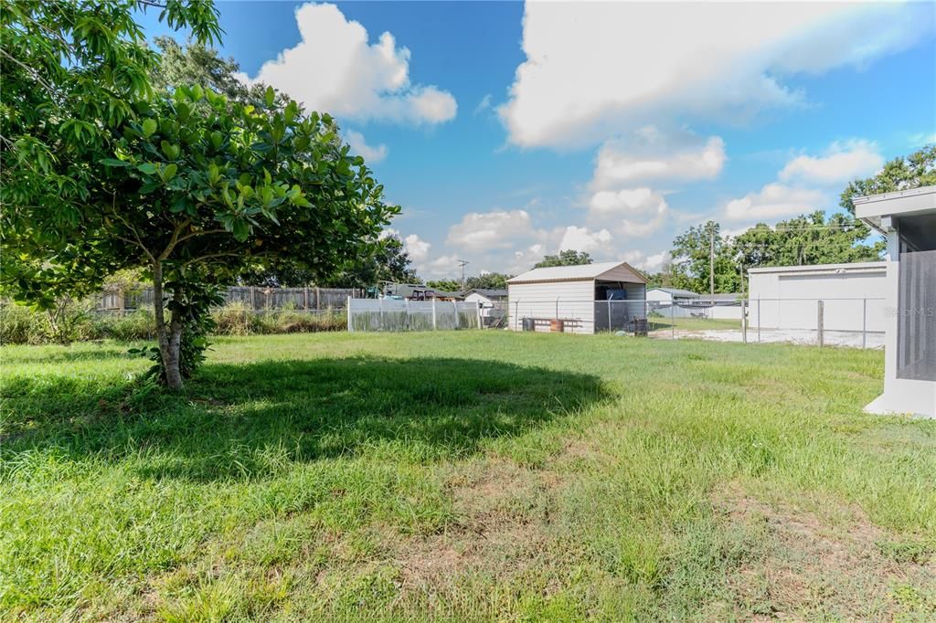 Backyard, Exterior