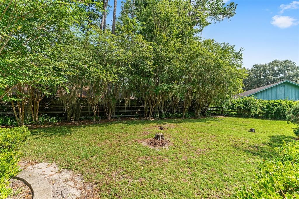 Backyard, Exterior