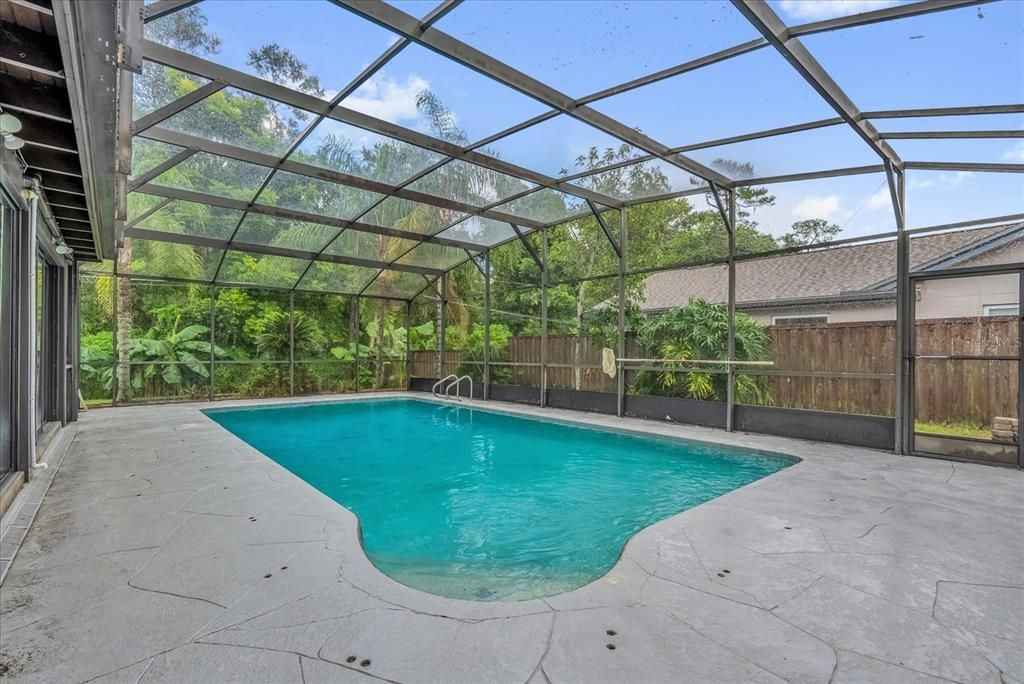 Glass Ceilings, Interior, Pool, Sun Room