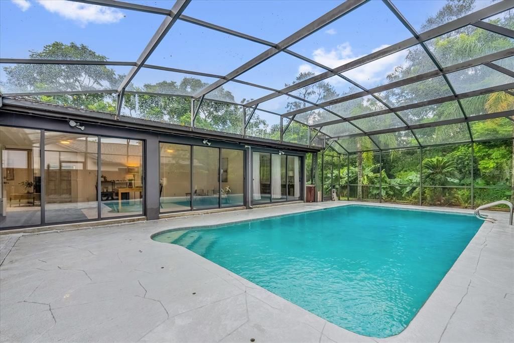 Glass Ceilings, Interior, Pool, Sun Room