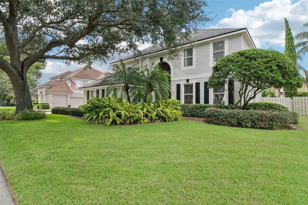 Backyard, Exterior, Facade, French Provincial