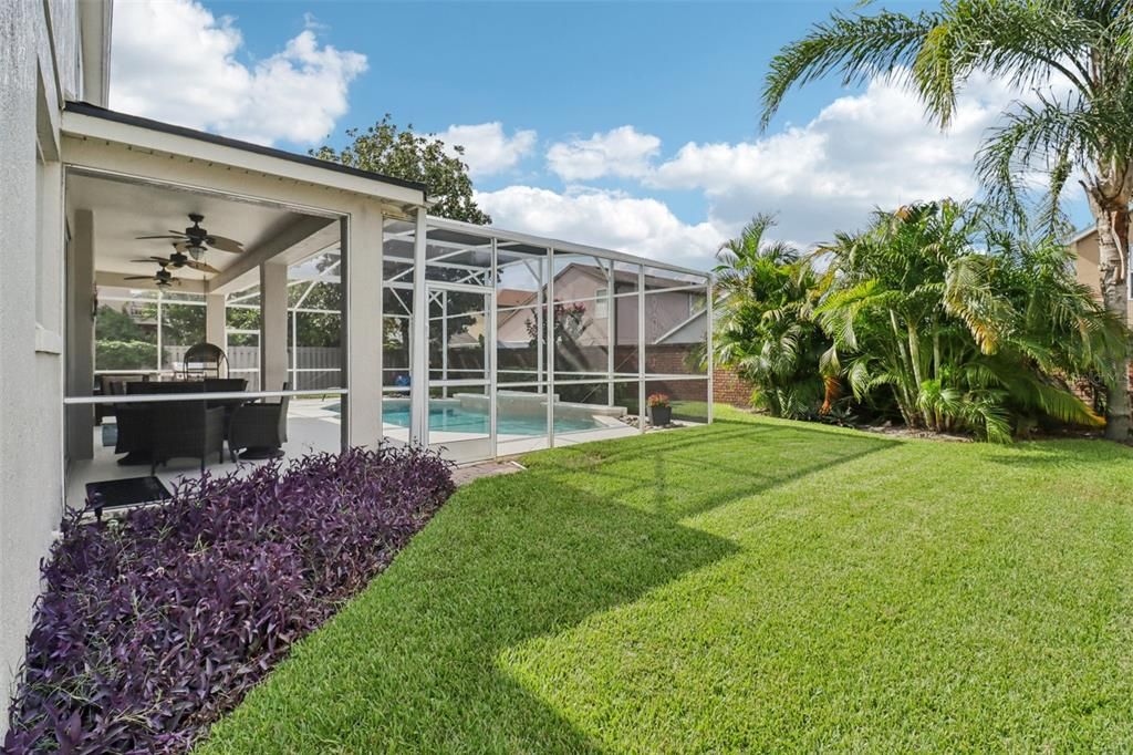 Backyard, Exterior, Pool