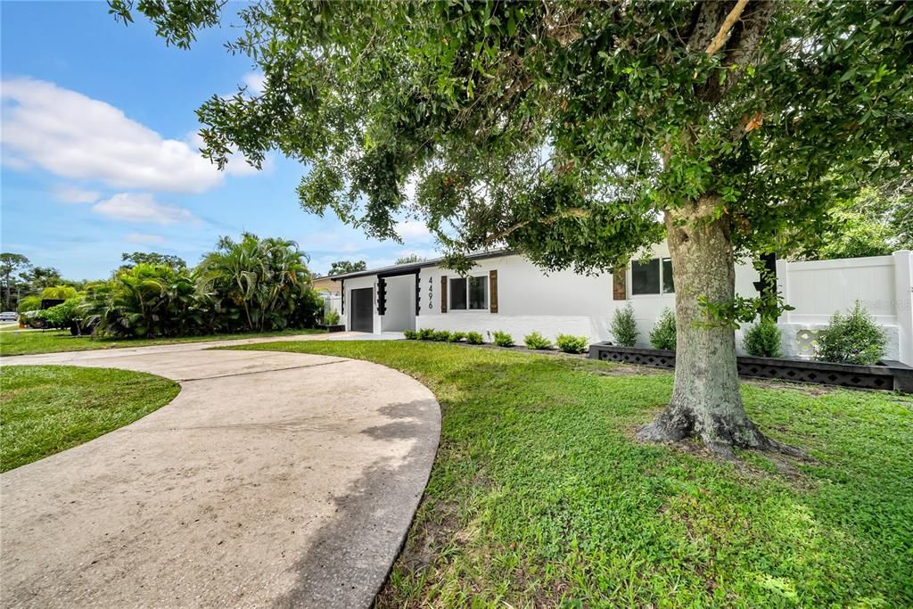 Backyard, Exterior