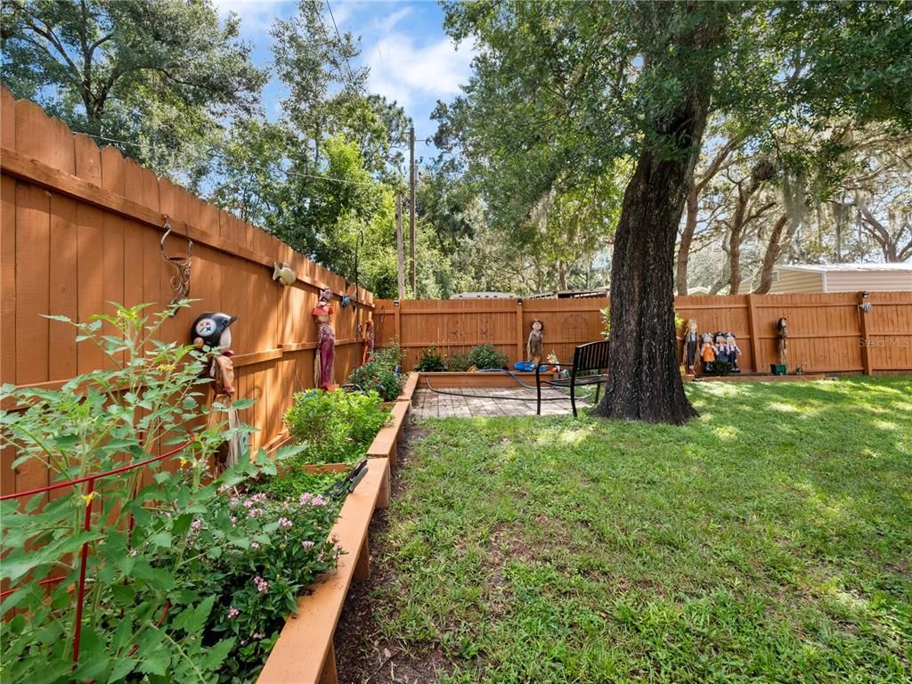 Backyard, Exterior, Playground