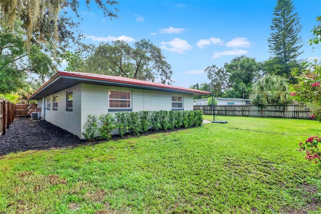 Backyard, Exterior