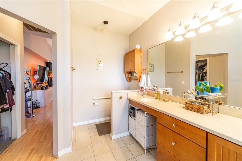 Bathroom, Dual Sink Vanities, Interior, Wood Texture Flooring
