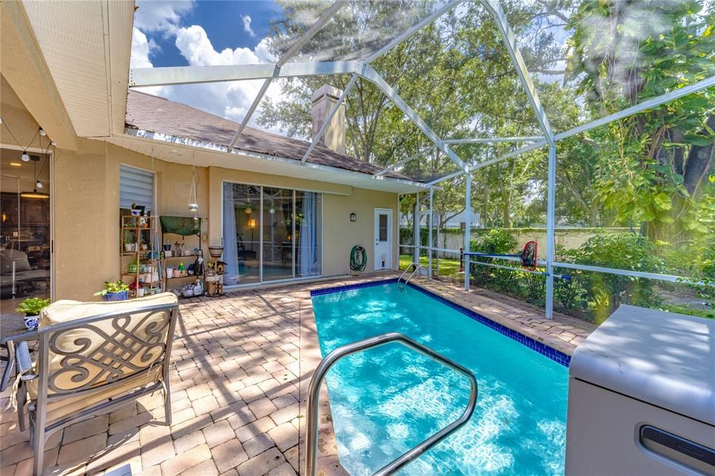 Glass Ceilings, Interior, Pool, Sun Room