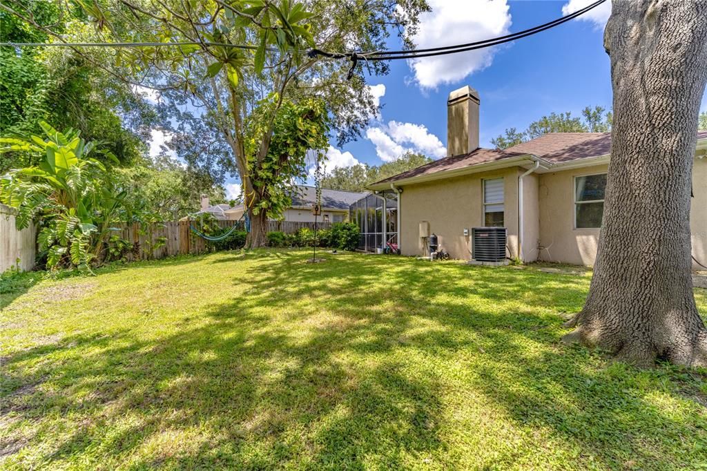 Backyard, Exterior