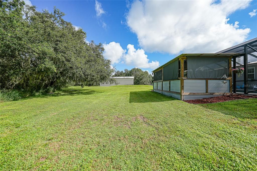 Backyard, Exterior