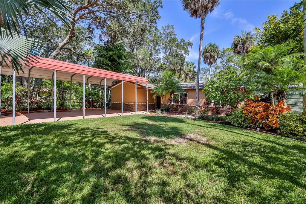 Backyard, Exterior
