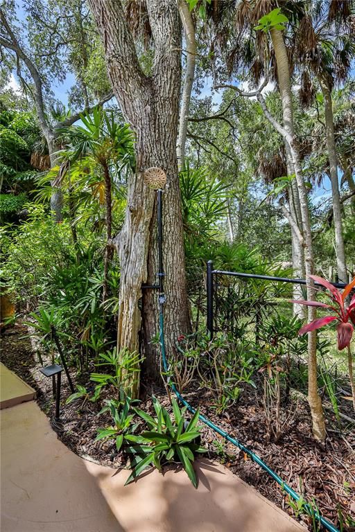 Backyard, Exterior