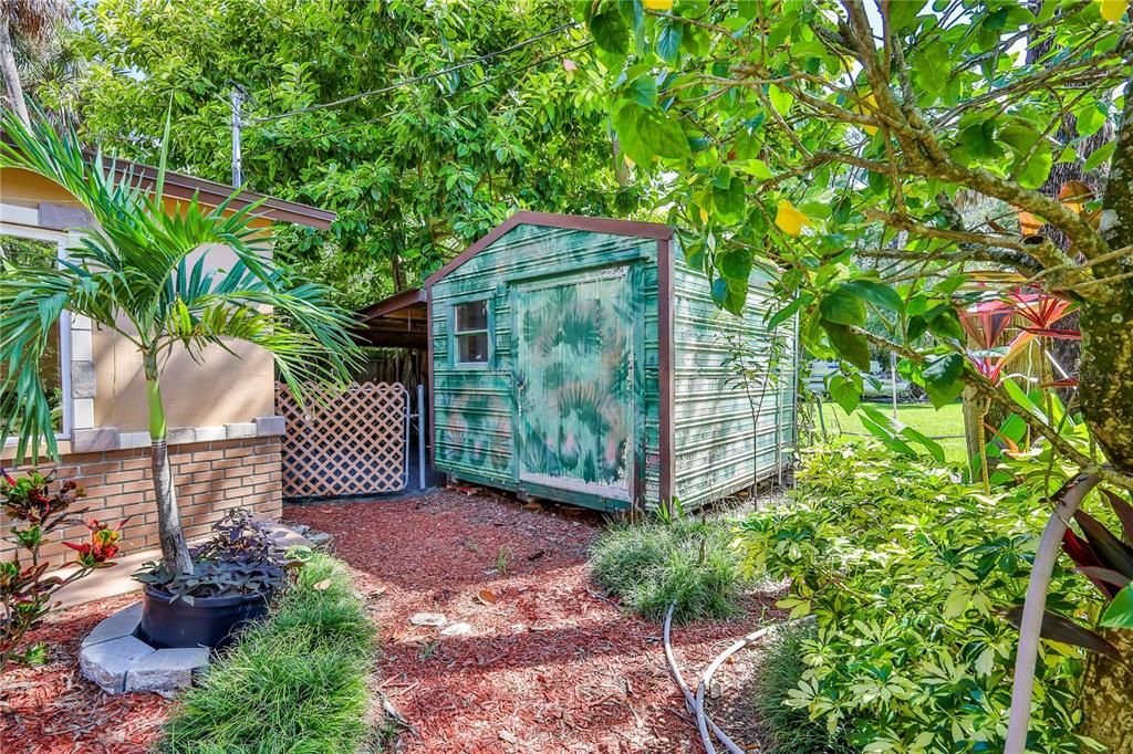 Backyard, Exterior