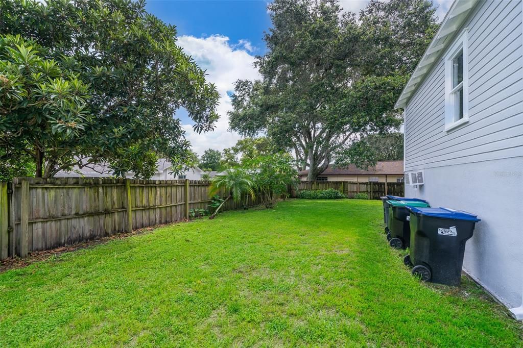 Backyard, Exterior