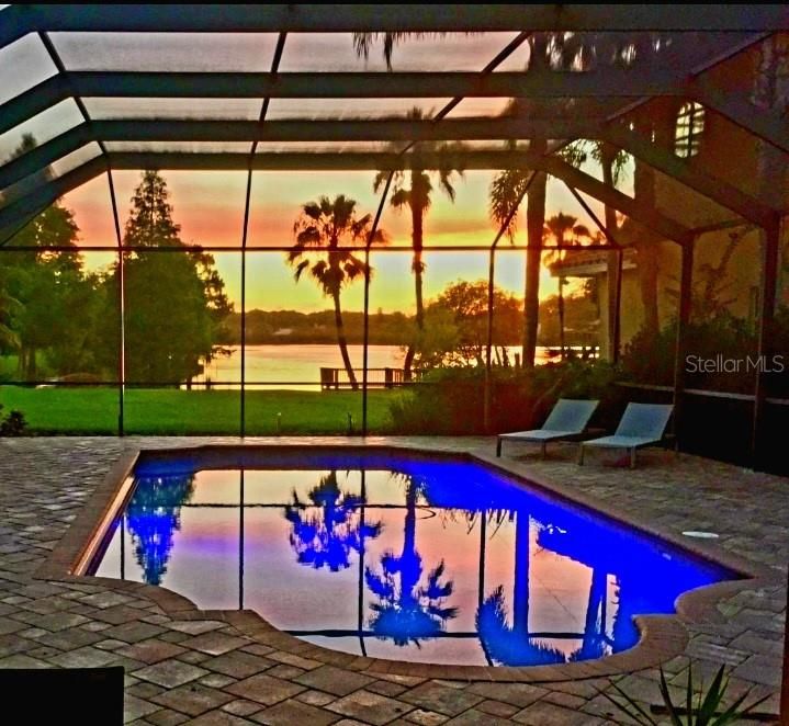 Glass Ceilings, Interior, Pool, Sun Room, Water
