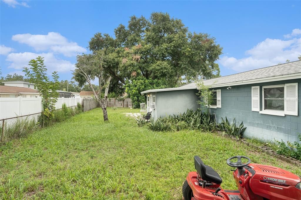 Backyard, Exterior