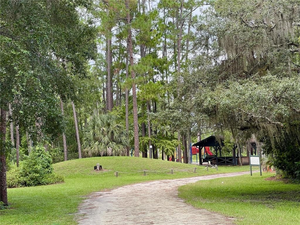 Backyard, Exterior, Playground