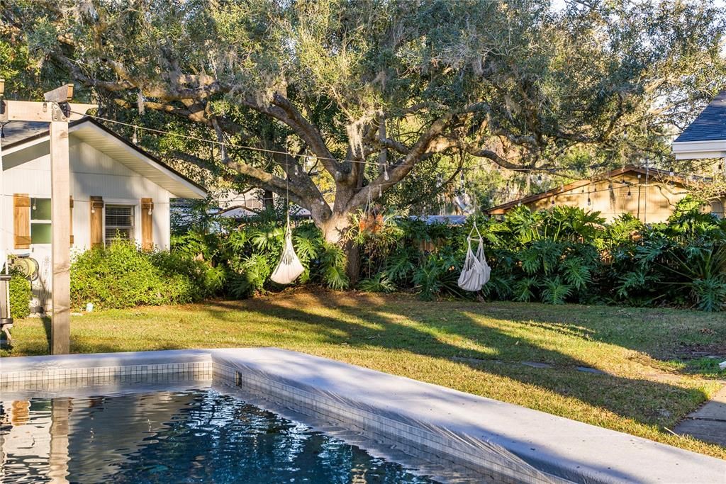 Backyard, Exterior, Pool