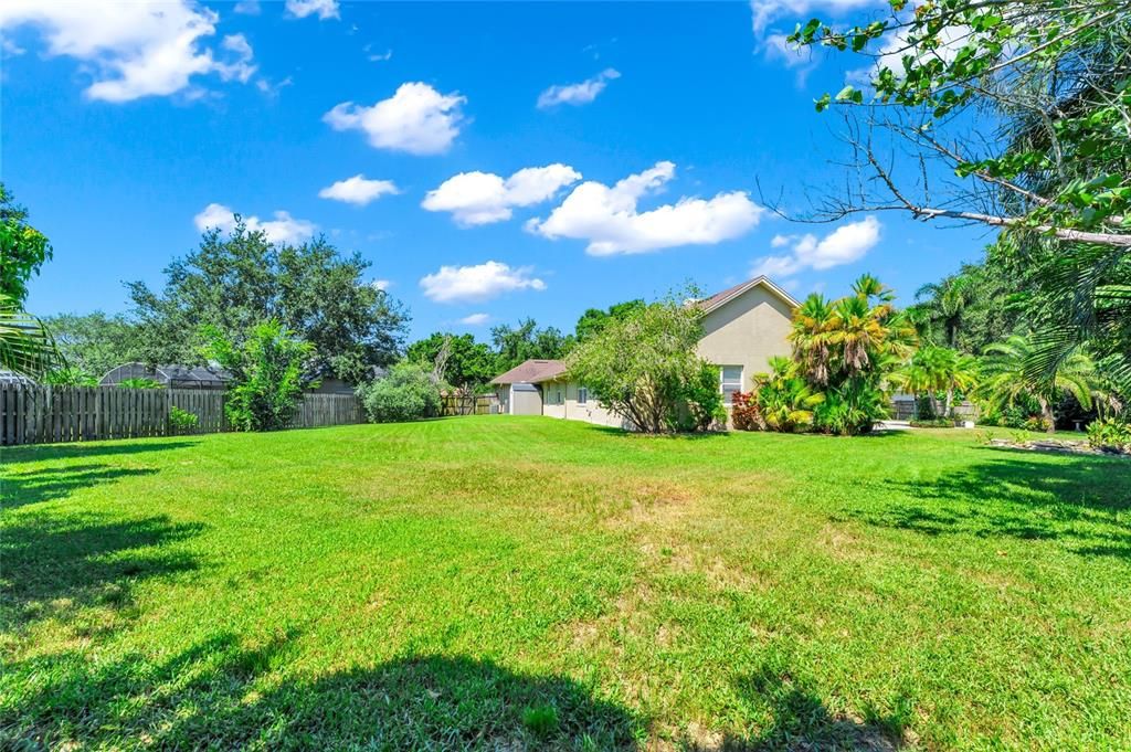 Backyard, Exterior