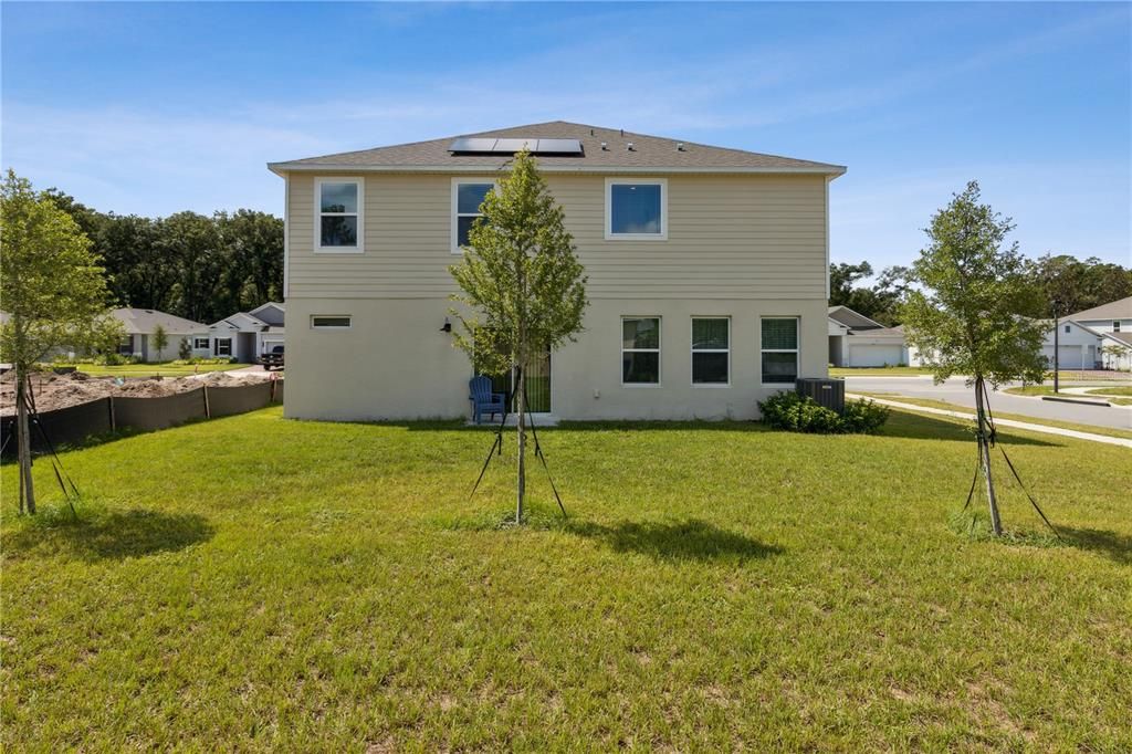 Backyard, Exterior, Solar Panels