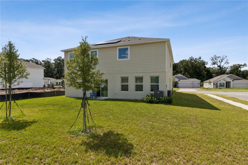 Backyard, Exterior, Solar Panels